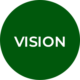 VSION
